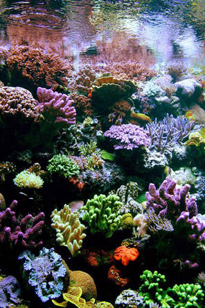 7f1a08c081a3274dc60c8b5ace1c5744.jpg